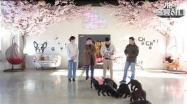 ‘개훌륭’ 신년특집, 유기견 발생 근본방지 프로젝트