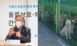 이재명 지사 “반려동물, 물건취급 말아야”