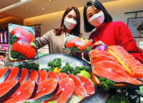 [포토] 뉴질랜드 킹연어 맛보세요