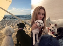 “받는 사랑 어마어마” 유기견 엄마 제아의 제주살이 [인터뷰]