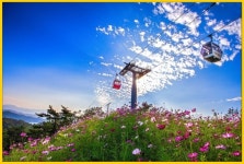 인천 월미도~영종도 잇는 해상케이블카 검토 착수