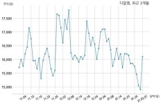 디알젬 주당 200원 현금 배당 결정