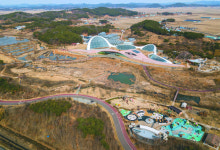 마량포구 등대 너머 동백의 붉은 유혹… 色다른 봄마중