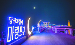 마량포구 등대 너머 동백의 붉은 유혹… 色다른 봄마중