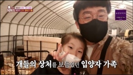 ‘TV동물농장’, 보상금 노린 김포 개 농장의 실태