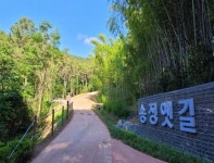 부산 ‘송정옛길’ 완전 복원 추진…올해 총 6억원 투입