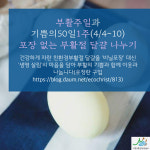부활절 시작으로 7주간 7가지 ‘녹색 습관’ 실천… ‘기쁨의 50일’ 캠페인
