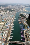 포항 동빈내항, 물고기와 함께 사람이 돌아왔다