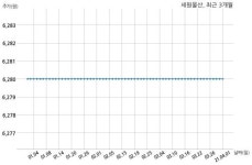 세원물산 113억원 규모 채무보증 결정