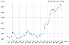 동성케미컬, 특별관계자 지분변동