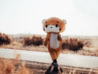 곰 인형의 질주…미국서 640㎞ 달린 곰돌이 이야기