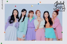 에이핑크 “손나은 제외 5인 재계약, 팀 활동은 지속”