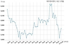 법인새롬에프앤 | 에프엔씨엔터 전환사채권 발행결정