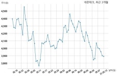 네온테크 스카이산업개발 주식회사와 48억원 계약체결