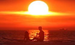 “왜 이렇게 더워졌지” 2010년 이후 폭염·열대야 일수 급증