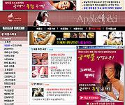 대형포털·언론사닷컴 ‘야동’ 변질