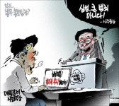 보험