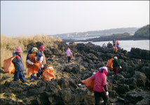 제주 다려도 타르 상륙