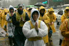 빗속에 오체투지로 이루려는 뜻은…