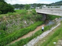 고향의 강과 시내, 도랑은 안녕하십니까?