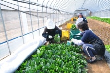 농사에 좋은 흙은 냄새도 좋다