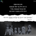 동물실험의 윤리를 묻다