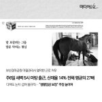 주나인쇄 | 청와대 ‘제2부속실’ 문건 대량 발견, 박근혜 재판에 영향 주나