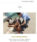 소설 도용 논란 손모씨 사람 구한 의인상도 확인불가