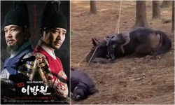 동물출연 가이드라인 제정 KBS 동물=소품 관행 사라질까