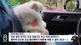 방송사 직원을 시민으로 조작한 TBC 기자