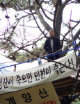 계양산 소나무에 둥지 튼 환경운동가
