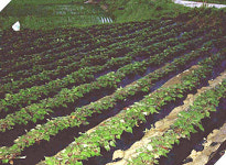 여기, 한국에도 다양한 가족들이 살고 있다