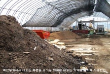 유채를 예찬하다