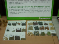 GMO의 대안 ‘토종씨앗’을 지킨다