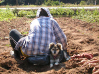 귀농을 꿈꾸는 사람들에게