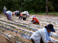 ‘이름 없는 슈퍼우먼’ 농촌여성들