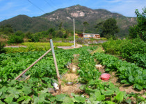 백암산에서 길을 잃다