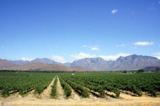 아름다운 풍경을 그리는 27시간의 기차여행