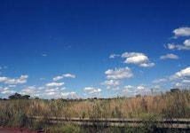 아프리카에서의 100일을 되새기며