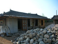 몸의 우울, 몸의 발견