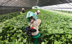 코로나 시대, 미등록 이주노동자와 같이 살아가는 법