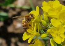 여성농민, 정년 없는 이 노동의 끝에는 무엇이 있을까