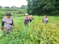 명예훼손 벌금 4백? 그거 내고, 마을이 성폭력 해결하자!