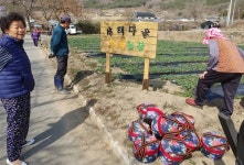 “올해부터 우리 마을은 남녀차별 없이 임금 지급한다”