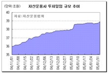 초목투자일임 | 보험계열 운용사 투자일임시장 '독식'