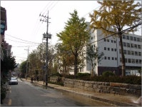 답답한 담장이 열린공간으로 바뀌었어요