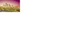 신일, 대구 진천역 해피트리 1차 431가구 분양