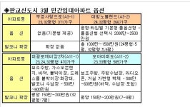 판교 민간임대 옵션價 600만원..분양比 곱절