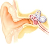 [MT비즈]청구한의원,이명 완치 한방치료법