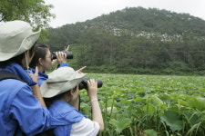 [생태기행]백로 노는 곳에 사람아 가지마라